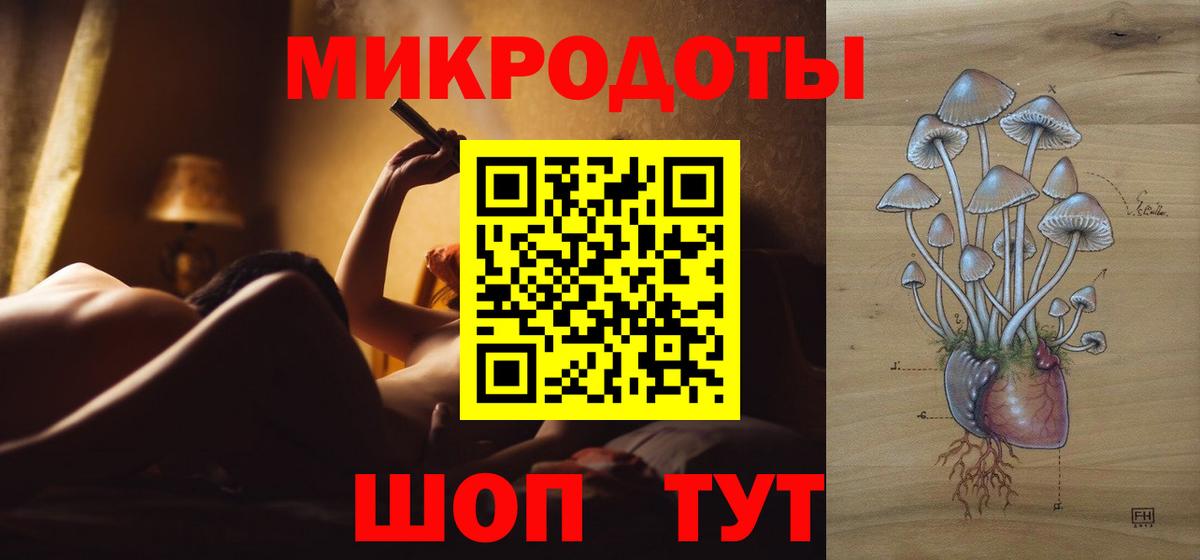 Псилоцибиновые грибы Psilocybine cubensis Севастополь